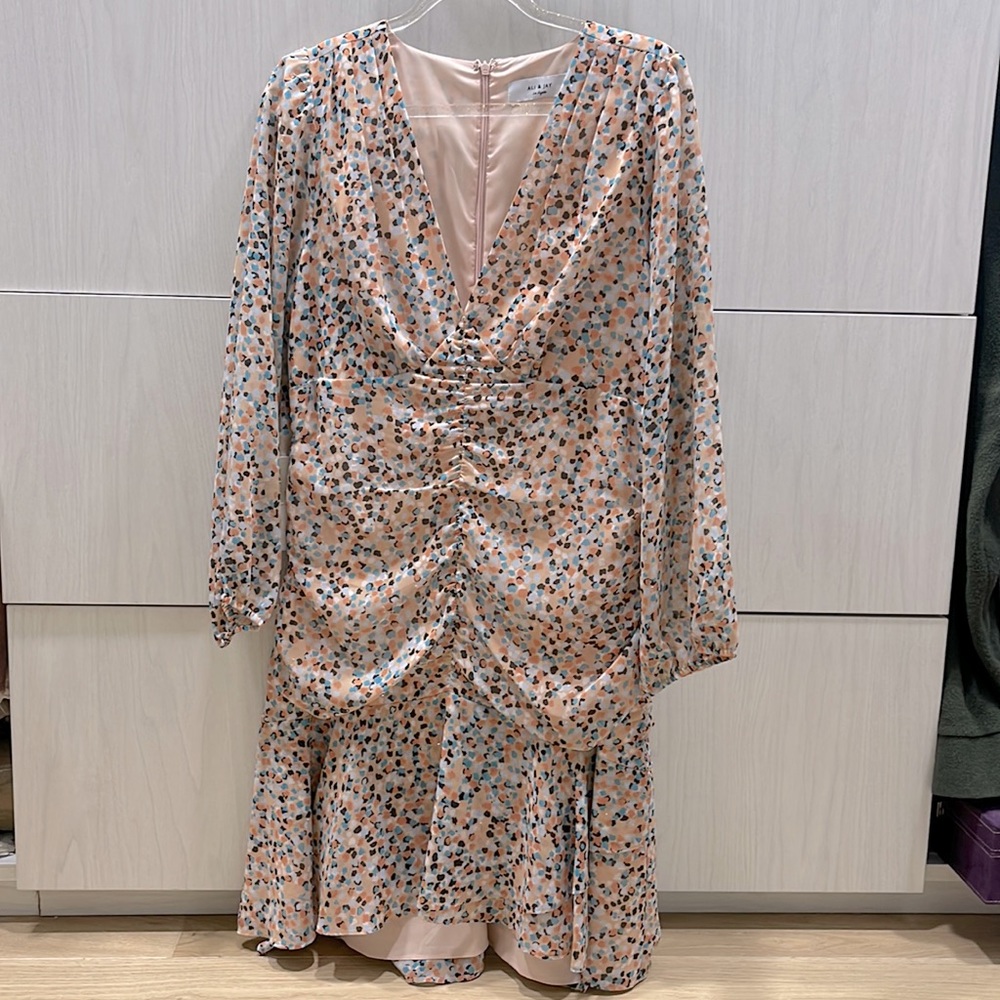 Ali and Jay dress